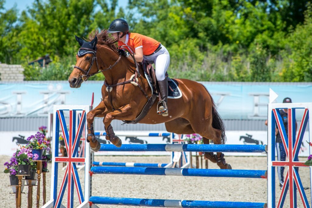 horse and rider jumping blue white and red fence