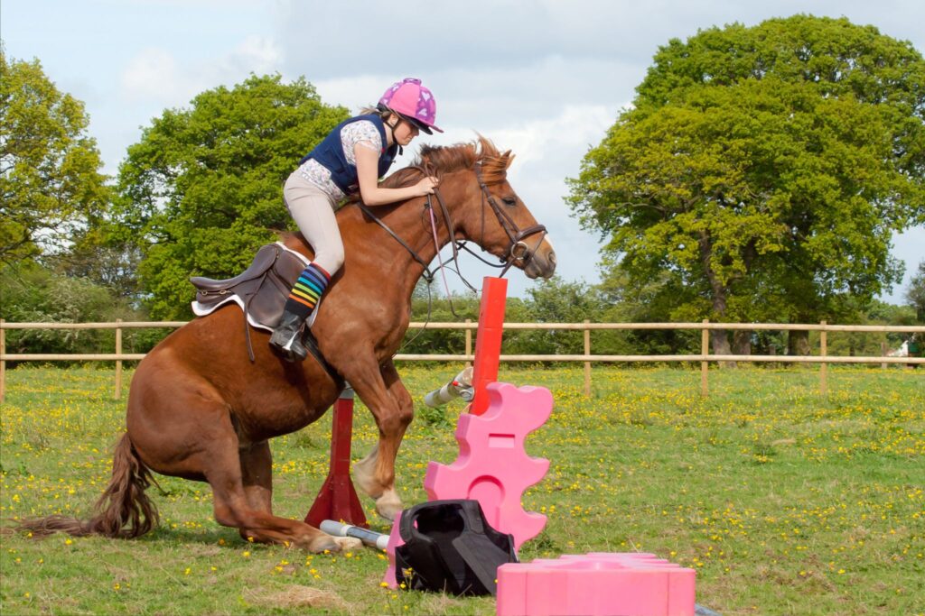 horse refusal over pink jump