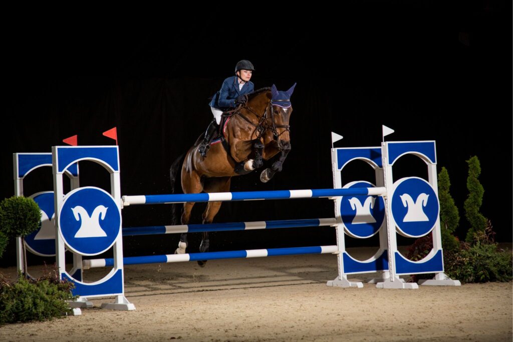 showjumping at night over blue fence