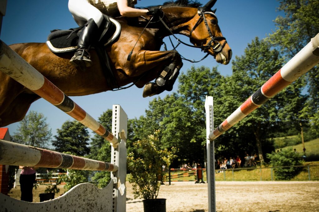 view looking up at a horse jumping an oxer