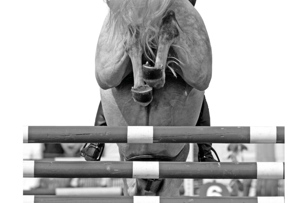 black and white view of a horse jumping a fence