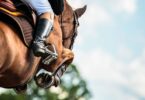 chestnut horse jumping