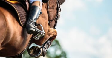 chestnut horse jumping