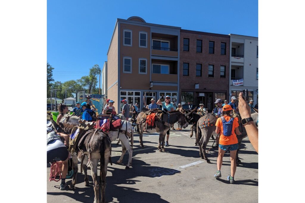 start of a pack burro race in Buena Vista