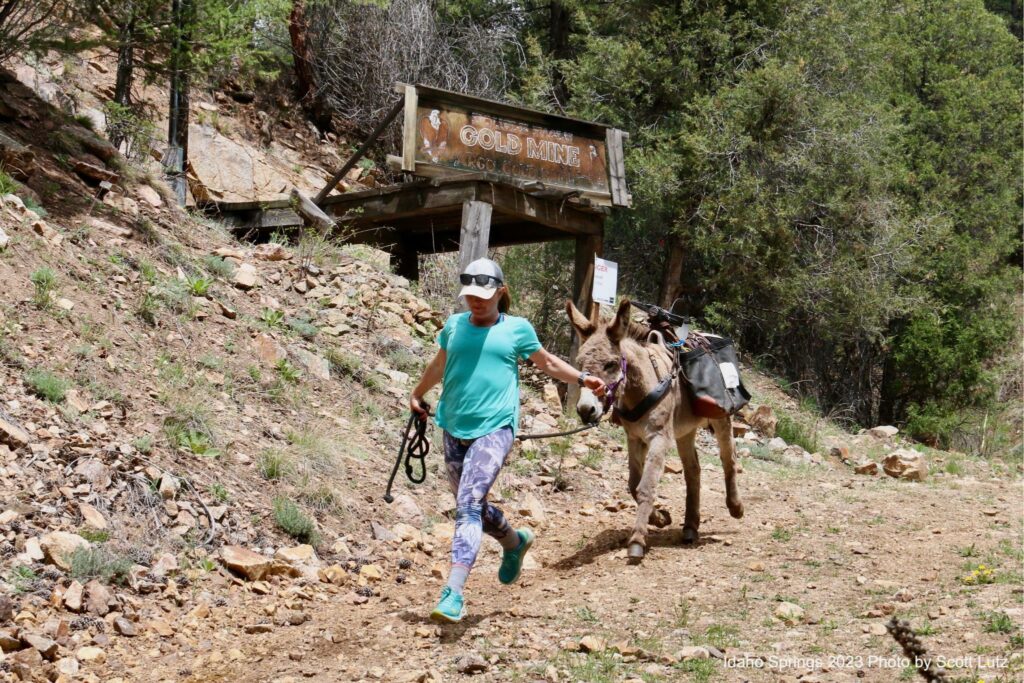 pack burro racing in idaho springs