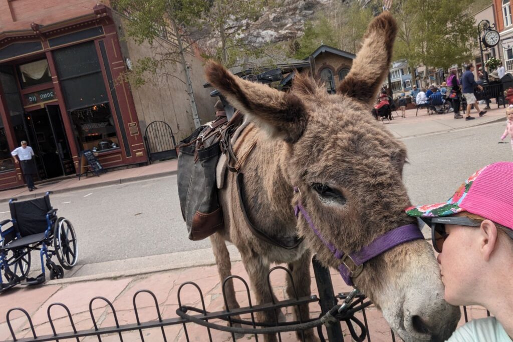 donkey kisses