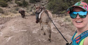 pack burro racing in colorado