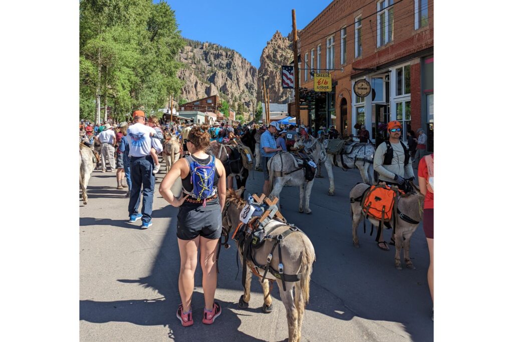 Start of the Creede pack burro race