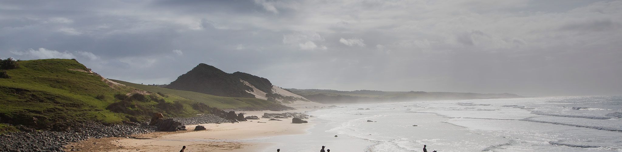 group of horses and riders on the beach in south africa