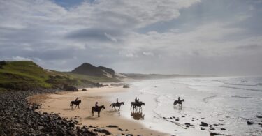 group of horses and riders on the beach in south africa