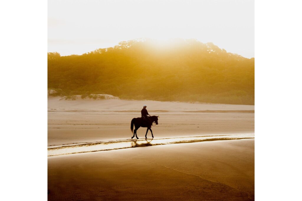 horse and rider on the beach at sunset