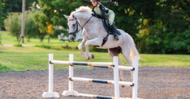 woman jumping on a gray horse