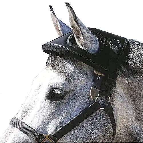 Cashel Horse Helmet